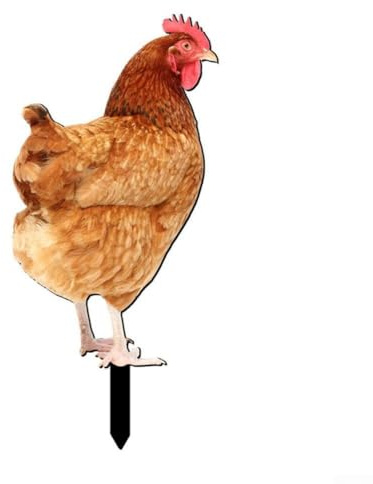 Scultura acrilica all'aperto dell'iarda del pollo per la decorazione del giardino e del prato inglese con materiale resistente alle intemperie (A)