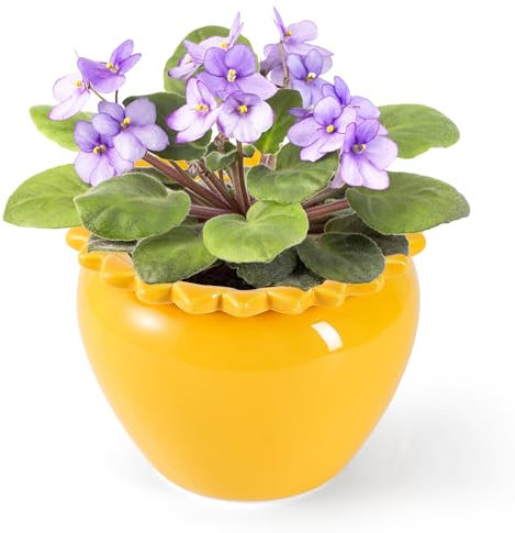 Lovely Ran Maceta de riego automático violeta africana, maceta de cerámica amarilla, maceta de mantenimiento de plantas, sembradora de plantas, 6.5 x 4.6 pulgadas, maceta interior de alta absorción