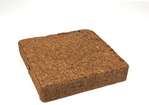 Kokoserde Blumenerde Substrat - im Quellbeutel - ergibt 10 L