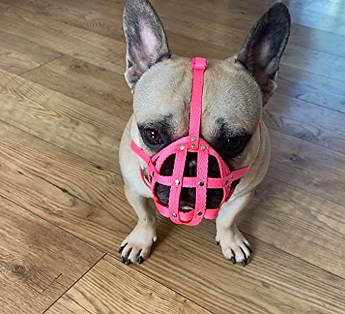 Maulkorb für Französische Bulldogge Frenchies und andere ähnliche Schnauzen Kurze Schnauze (FB1, Rosa)