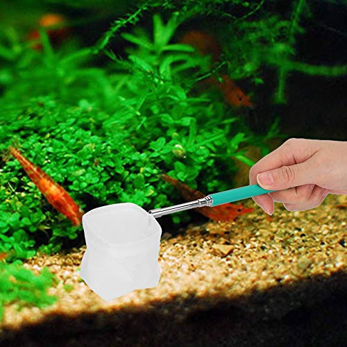 Haofy Finmaskigt Akvarienät, 21 Tums Utdragbart Handtag, Rostfritt Stål Fish Shrimp Skimmer (kvadratisk mesh)