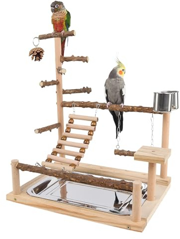 Vogelspielplatz – Naturholz Leiter | Freisitz – Bird Swing with Stainless Steel Cup and Tray – Für Nymphensittiche Sittiche Training Bunt 1er Pack Zubehör Stabil Qualität Design 2026