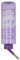 Classic Bottle Bunny Colortone (Pack of 1), Assorted Colors, 600 ml