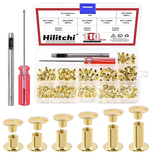 Hilitchi Lot de 110 vis Chicago dorées à tête plate, rivets en cuir, rivets ronds en acier au carbone, rivets à ongles, rivets en cuir avec outil d'installation (M5 x 4,5,6,8,10,12)