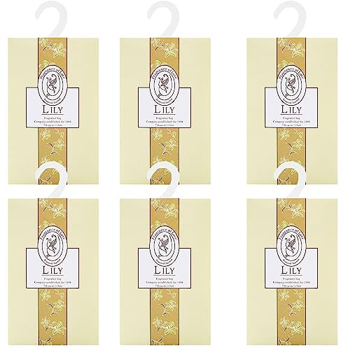6PCS Sachet Armoire Parfumé, Sachet Parfumé Armoire Sent Bon Maison, Parfum d Ambiance Maison Parfum d'intérieur, Desodorisant Vetement Armoire, Sachets Lavande Placards Parfum Voiture (6lys)