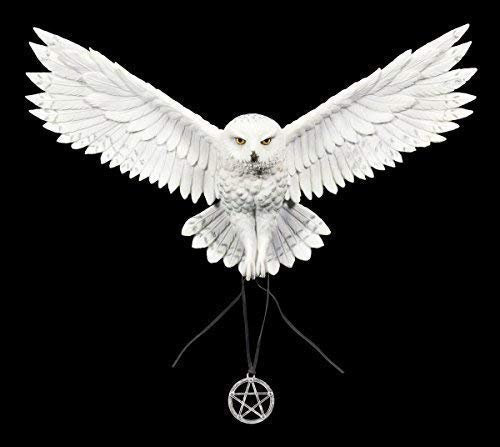 Wandrelief weiße Eulen Figur | Awaken Your Magic von Anne Stokes | mit Pentagramm