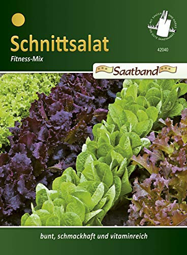 Schnittsalat Fitness Mix Salat vitaminreich