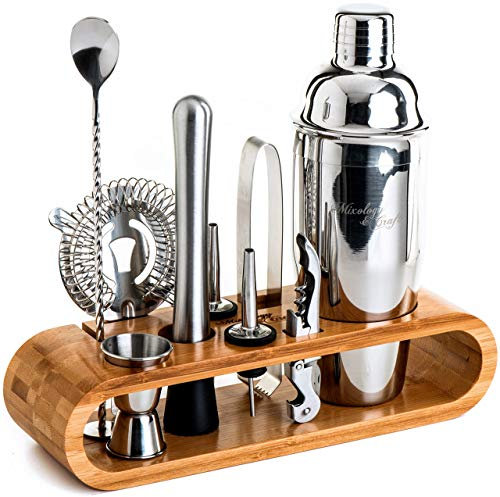 Mixology Cocktail Shaker Set - 10-Piece Cocktail Making Set - Home Bartender Kit in Bamboo Stand with Spoon, Boston Shaker, Other Tools for Drink Mixing, Martini, Mocktail - Gift Set (Silver)