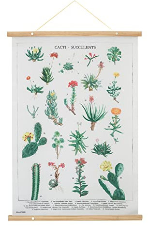 Grupo Erik Banderola Botanical cacti - Póster tela cactus 53x71 cm - Cuadro tela pared, Decoración pared cactus - Póster cactus