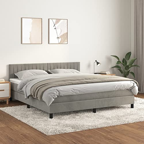 KOIECETA Boxspringbett mit Matratze Polsterbett Bett Hotelbett Einzelbett Bettrahmen Bettgestell Lattenrost Schlafzimmerbett Hellgrau 160x200 cm Samt