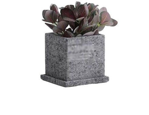 Maceta Interior Maceta de cemento, sencilla, creativa, suculenta, cuadrada, verde, pequeña, perforada, transpirable con bandeja, macetas de cemento personalizadas Jardineras Exterior(Grey,Grande)
