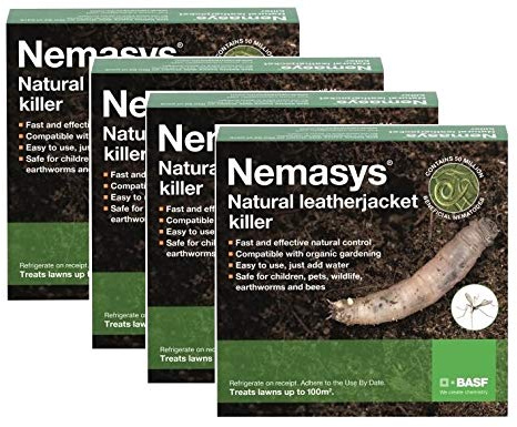 4 X Nemasys leatherjacket killer (100sqm pack)