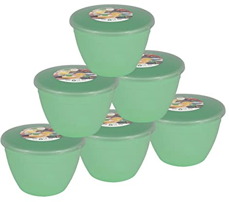Just Pudding Basins Pastel Colours Green 1 Pint Basin and Clear Lid Pack of 6 Plastic Pudding Steaming Bowls
