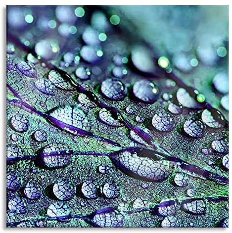 Pixxprint Glasbild, Wandbild auf Echtglas, Nahaufnahme Wassertropfen auf Blatt, 40x40 cm, inkl. Aufhängung und Abstandshalter