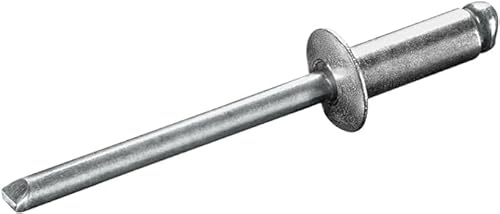 Blindniete Flachkopf Alu Stahl Größen von 2,4-6,4 mm Popnieten Blindnieten Nieten (4,0 x 10 mm (100 Stk))
