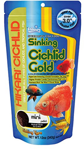 HIKARI USA INC. 49323/598 Hikari Cichlid Gold Sinking Mini Pellets (Size: 342g)