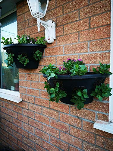 Plantopia 3 x Easy Fill Wall Mount Hanging Baskets/Planters, Black 20, FREE Express Delivery