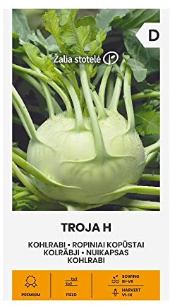 Zalia stotele | CHOU-RAVE TROJA H des Graines | Graines de Fleurs | Graines de Plantes | Graines de Jardin | 1 Paquet