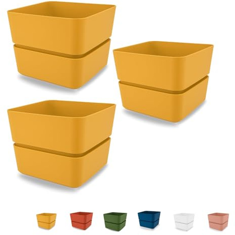 VIRSUS 3 Vasi quadrati con sottovaso per piante, misura 12x11 cm, design elegante, Fioriera per interno e per esterno, vaso per piccole piante grasse, resistente ai raggi UV (Curry)