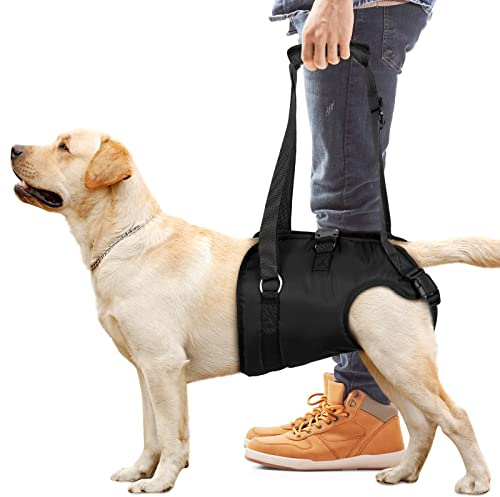 Chalklit Imbracatura di Supporto per Cani di Taglia Grande - Sollevamento con Supporto per Arti Posteriori - Ausilio di Riabilitazione per Cani Anziani