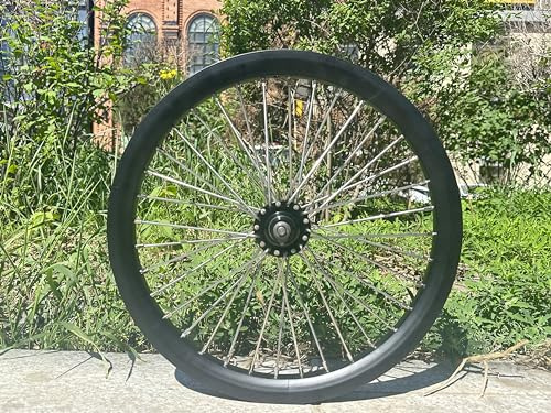 AUTES 20 inch Front Bicycle Wheel Double Wall Aluminum 20 Rim, Disc Brake, 520g Heavy Duty Wheel 10G 36 Spokes for MTB/Road/Cruiser Bikes (Rim Size 16.5)