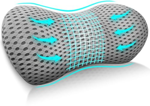 Cnwinu Lumbar Support Cushion,Memory Foam Back Support Cushion,Ergonomic Lower Back Supports Cushions,Suitable for Offices,Car Seats,and Back Supports Pillows During (Grey)