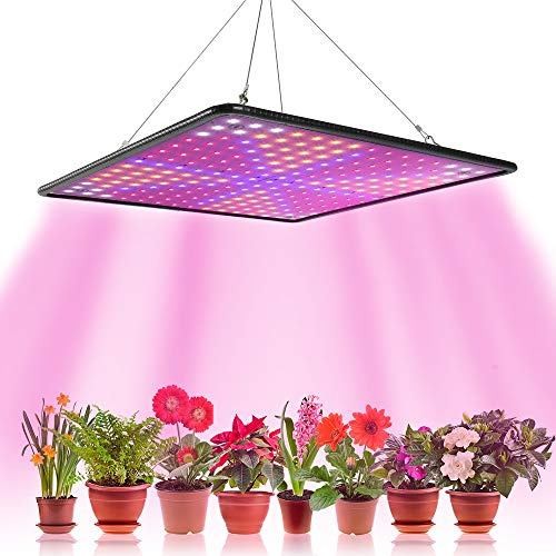 Beenle-Icey 1000W Lampe Led Horticole Croissance Floraison,Grow Light pour Culture Indoor Plante Lampe de Plante Croissance Hydroponique Eclairage Germination avec Crochet (C)