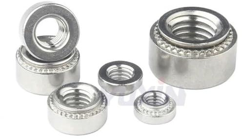 KEYNCO Dado autoagganciante Dado a pressare zincato in Acciaio Inossidabile 304 M2 M2.5 M3 M4 M5 M6 M8 Dadi di Fissaggio per Macchine Utensili-M2.5-1 (50 Pezzi)-CLS-Acciaio Inossidabile