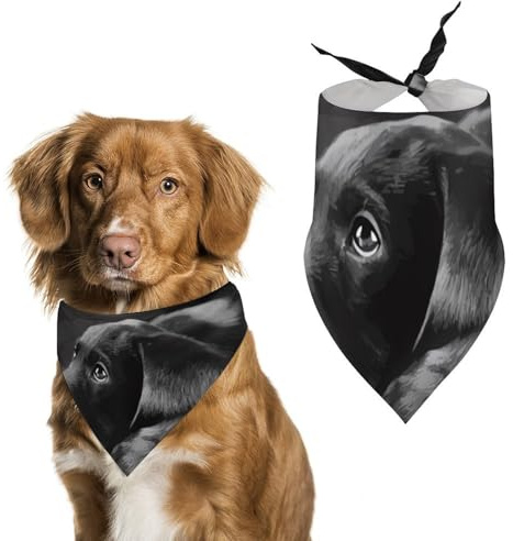 Hundehalstuch mit Labrador-Motiv, dreieckig, waschbar, Polyester, niedliches Haustier-Bandana für mittelgroße und große Hunde, Welpen und Katzen, Schwarz