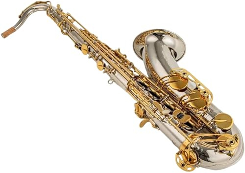 Saxophone Professionelles Bb-Tenorsaxophon Mit Komplettem Zubehör(2)