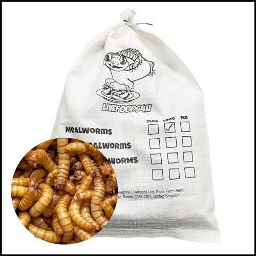 Livefoods4u Live Mealworms 500g Bulk Bag 20-30mm | Reptile & Bird Live Food