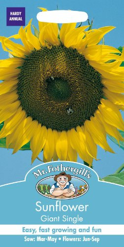 Mr Fothergills - Pictorial Packet - Flower - Sunflower Giant Single - 70 Seeds