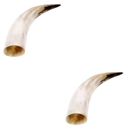 TOPBATHY 2 Stück Kuhhörner In Einer Vase Horn Akzente Für Zuhause Stierhörner Für Lkw Horn Wandleuchte Bauernhaus Wandvasen Für Blumen Auffälliges