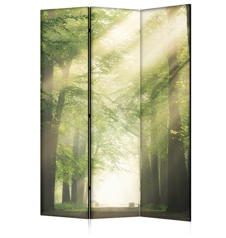 framed concept - Paravent Raumteiler Holz 135x172 cm, 3-teilig einseitig, Sichtschutzwand