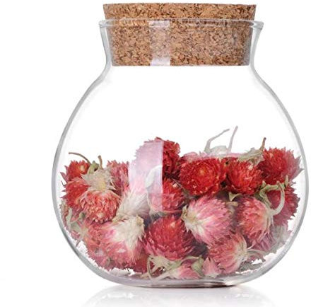 VASANA Barattolo per alimenti, in vetro trasparente, trasparente, ricaricabile, da 500 ml, con tappo in sughero, per fiori, tè, frutta secca, chicchi di caffè, zucchero, biscotti, caramelle