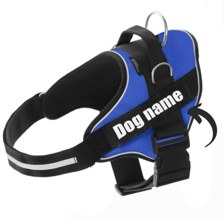SUPER DOGGY Hundegeschirr personalisiert – Anti-Zug, reflektierend und sicher – Brustgeschirr für kleine, mittelgroße und große Hunde mit 2 Namensschildern (Blau, M 13-22KG)