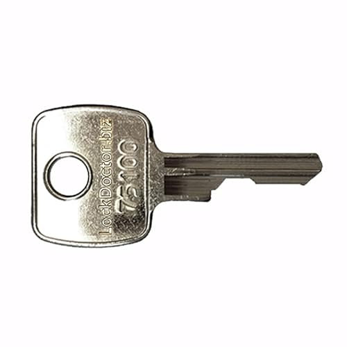 Replacement 75100 Electrical Switch Key | Compatible with Lifts & Escalators, Fire & Alarm Panels, Industrial Machinery, Hoistway Access, Flipsky V2.0 Scooters & E-Bikes, Office Furniture & More