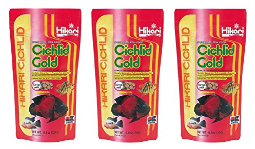 (3 Pack) Hikari Cichlid Gold Floating Pellets Large, 8.8-Ounce