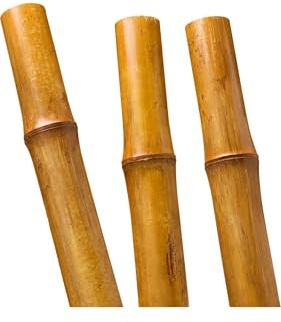 50 Bambusstangen 2-3cm 3m Bambusrohr Bambusrohre