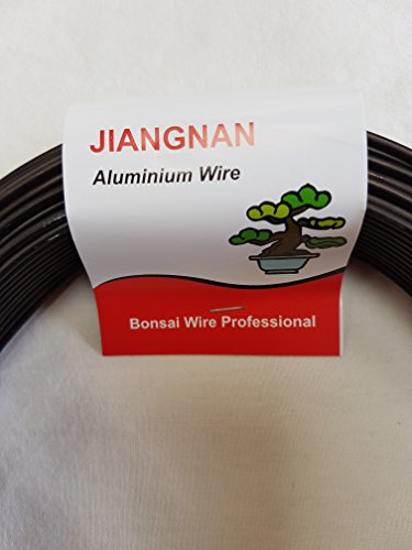Jiangnan Fil anodisé pour bonsaï 5 mm Rouleau de 500 g