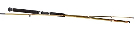 Cormoran Seacor Deepliner Power Pilk 2,70m 2tlg 100-250g 29-0250270 Pilkrute