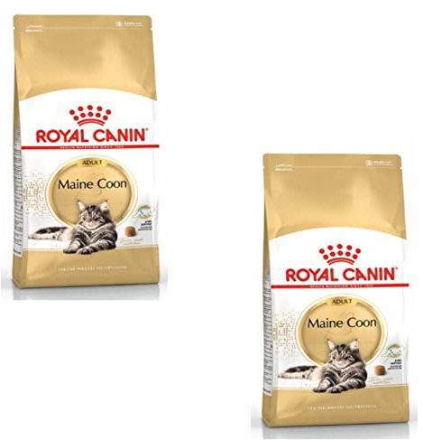 ROYAL CANIN Light Weight Care | 400 g | Trockenfutter für ausgewachsene Katzen | Empfohlen zur Begrenzung Einer Gewichtszunahme | Zum Erhalt der Muskelmasse | Mit L-Carnitin