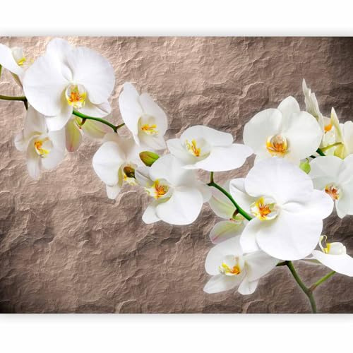 Fototapete - Vlies Orchidee Blumen, 300x231 cm, Schlafzimmer, Wohnzimmer | Full HD Druck, 3D-Effekt, lichtbeständige Farben, ideal fürs Wohn- oder Schlafzimmer, schnelle Montage, lichtbeständig, edel