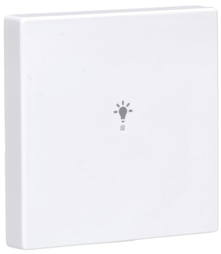 Busch-Jaeger 6231-10-84 Wippe mit Symbol Licht Studioweiß Plattform 63 2CKA006220A0037