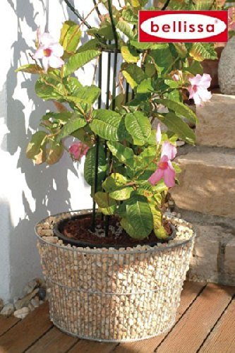 bellissa Gabione Blumentopf konisch Durchmesser 48 cm