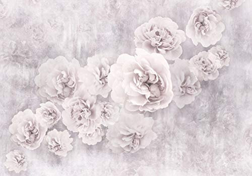 wandmotiv24 Fototapete Weiss Rosen Beton wand alt, 200 x 140cm - selbstklebende Strukturtapete, Wanddeko, Wandbild, Wandtapete, M4677