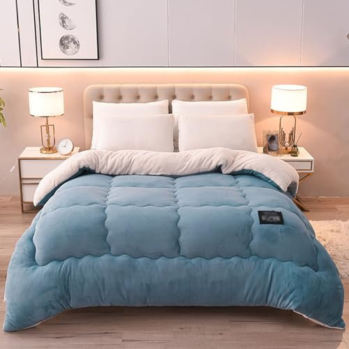 Winter Baumwolle Bettdecke,Flauschige Kaschmir Steppdecken für Allergiker Duvet, Verdicken Sie Lamm Kaschmir Decke Winter Weiche Warme Bettdecke,Steppdecke 150x200cm 2.5kg
