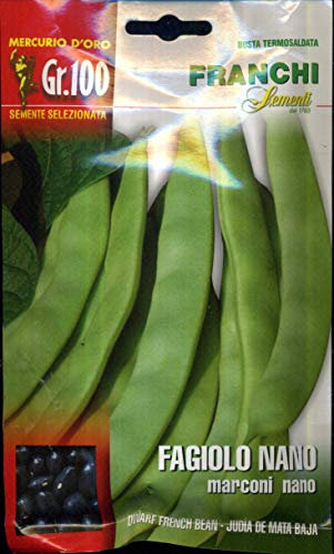 Franchi sementi semi di fagioli e fagiolini nani e rampicanti in confezioni varie (nano marconi, 100 grammi)