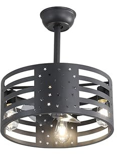 Industrial Vintage Caged Ceiling Fan with Lights and Remote Control 6 Speed Motor and Timer Ideal for Living Room Kitchen Bedroom Farmhouse Black