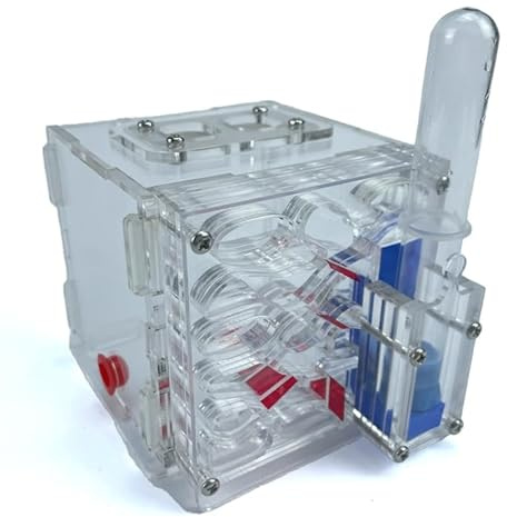 Acryl-Ameisenfarm-Einsteigerset – Modernes Ameisennest mit automatischer Bewässerungsfunktion, einfach aufzubauen, wartungsarm, ideal für Anfänger – Transparent
